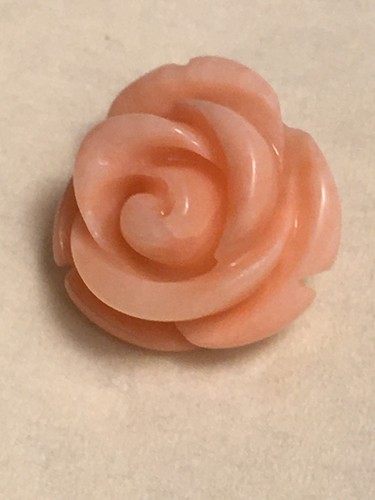Alte korallen koralle - koralle, *rose*